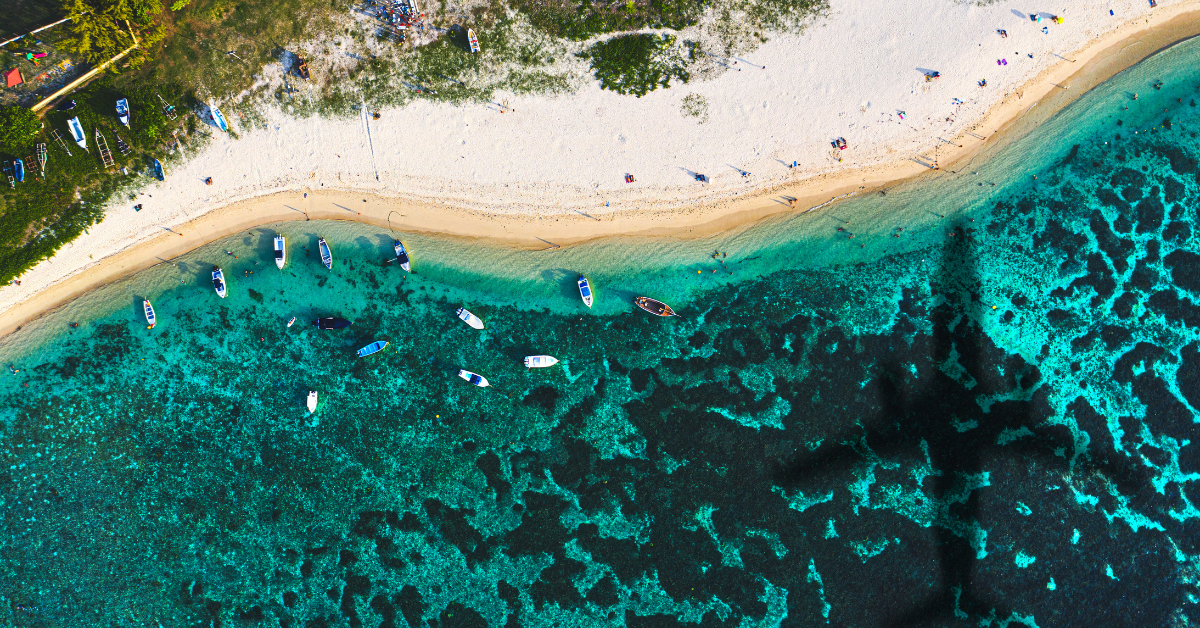 Royeli Destination Tour